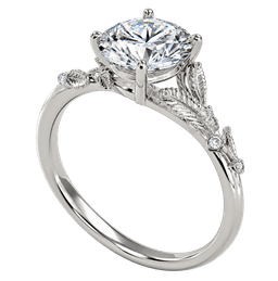 Ring Snapshot Preview
